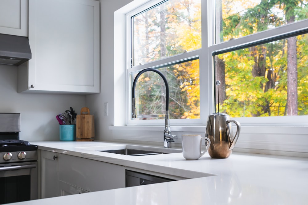 Kitchen window mesh
