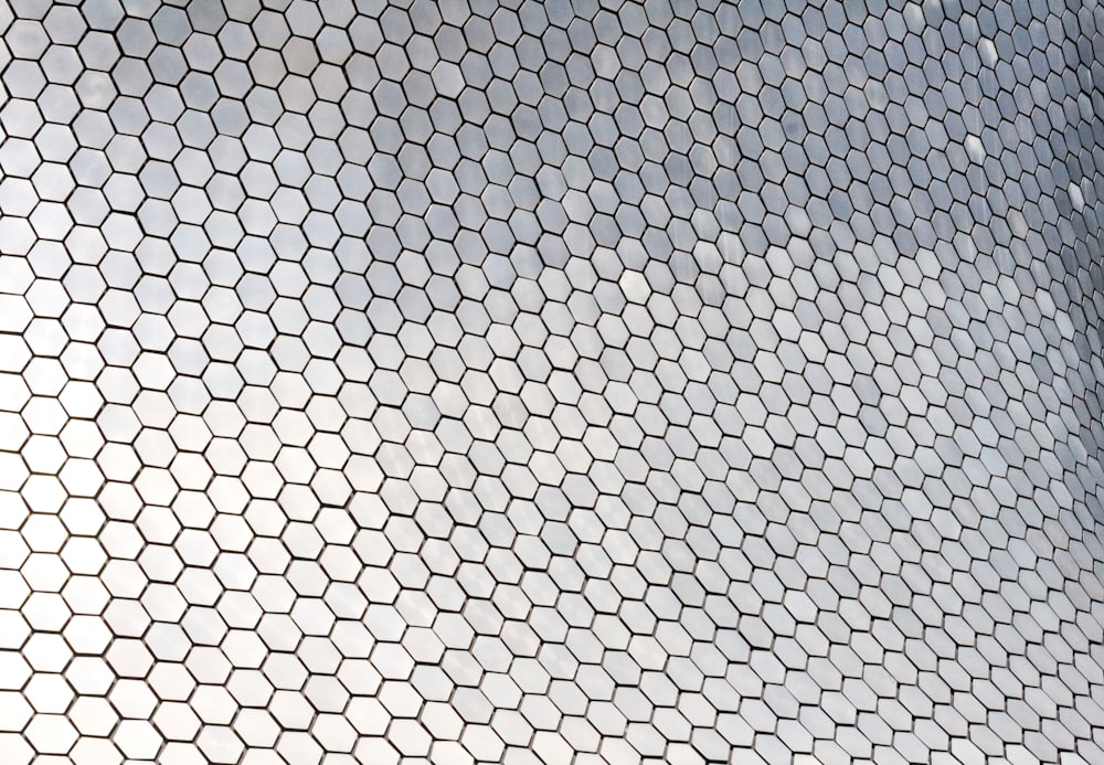 Wall Mesh Singapore for a Singapore home